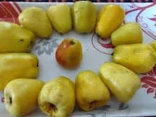 ఈ పండు తింటున్నారా !!