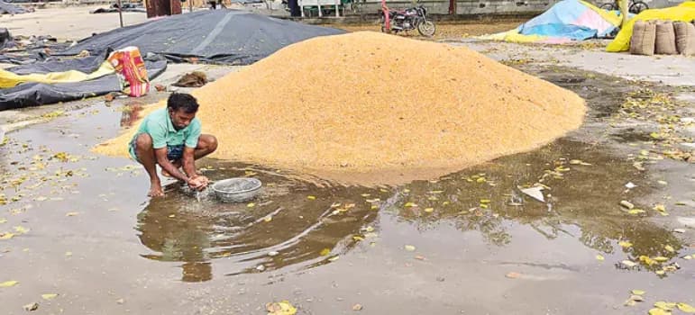 నీటమునిగిన ధాన్యం.. ఫార్మర్స్కు తీవ్ర నష్టం