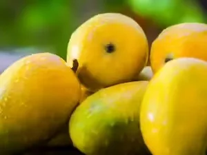 షుగర్ ఉన్నవారు మామిడి పండు తినొచ్చా?