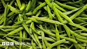 గోరు చిక్కుడు కాయలు ఎందుకు తినాలో తెలుసా?