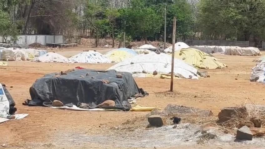 తమ ధాన్యానికి తొందరగా తూకం వేయండి సారూ