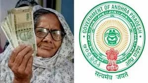జూన్లో కొత్తగా 5606 వితంతు పెన్షన్లు