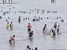 దొరికిన కాడికి దోచి.. చెరువులో చేపలు లూటీ
