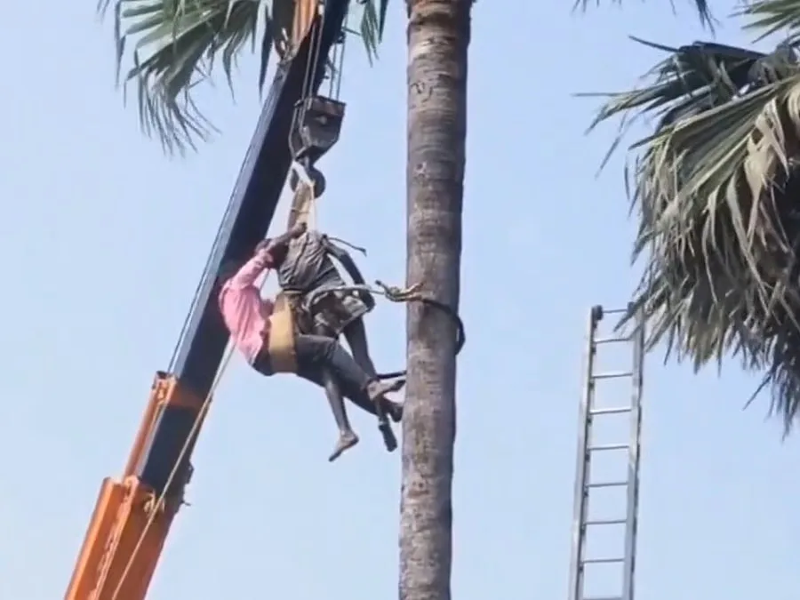 తీవ్ర విషాదం: తాటిచెట్టుపై హార్ట్ ఎటాక్