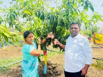 KG మామిడి పండ్లు రూ.2.50 లక్షలు
