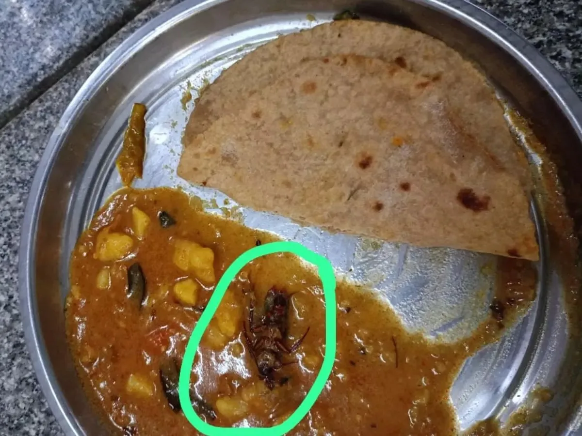 బాసర త్రిబుల్ ఐటీ.. ఫుడ్లో బొద్దింక