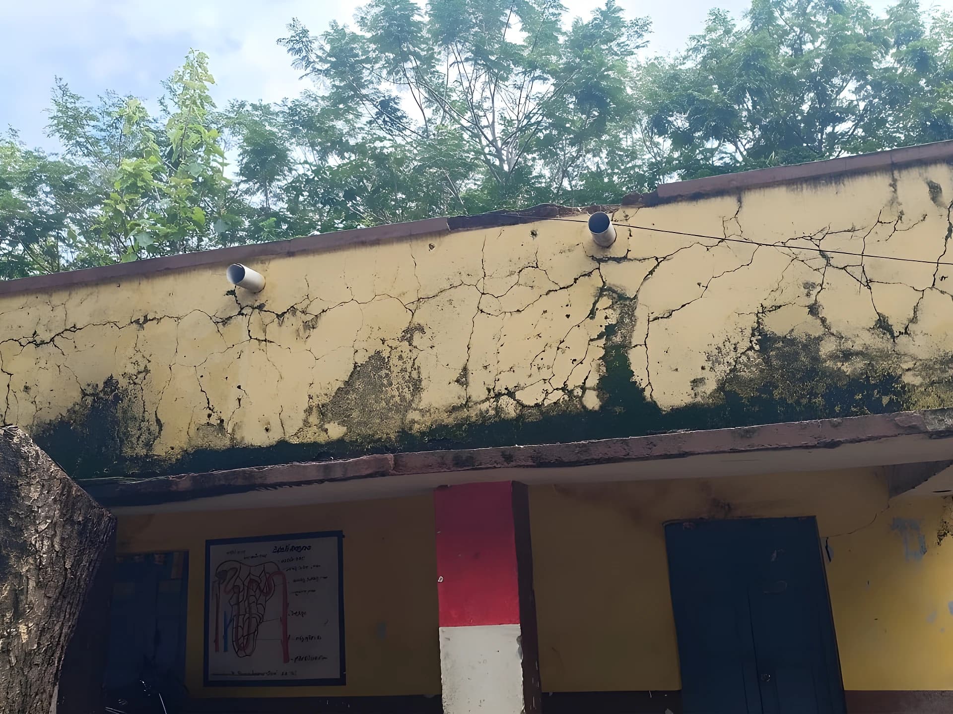 ప్రాణాలను పణంగా పెట్టి చదువులు