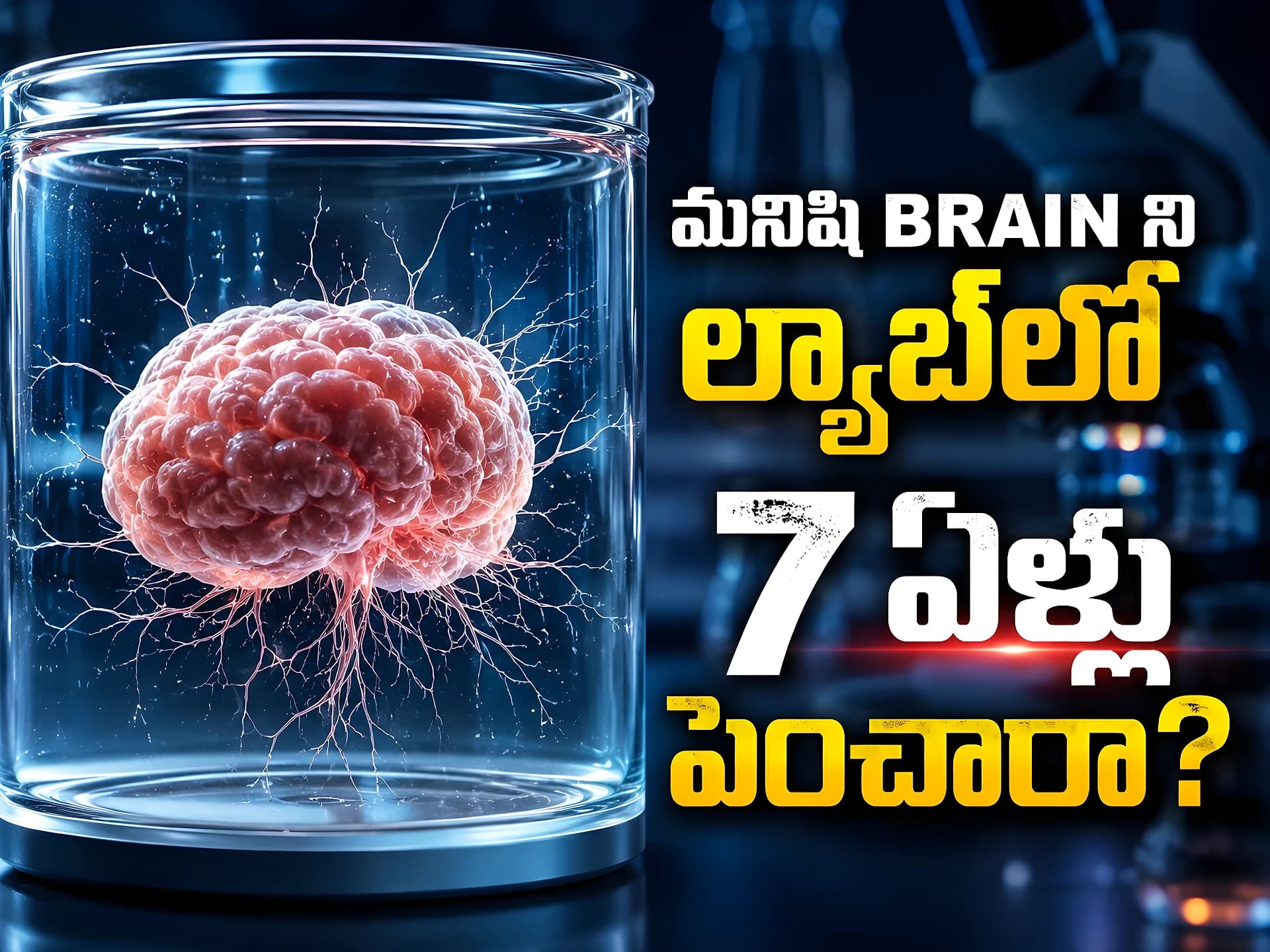 ల్యాబ్లో పెంచిన మెదడు కణాలు