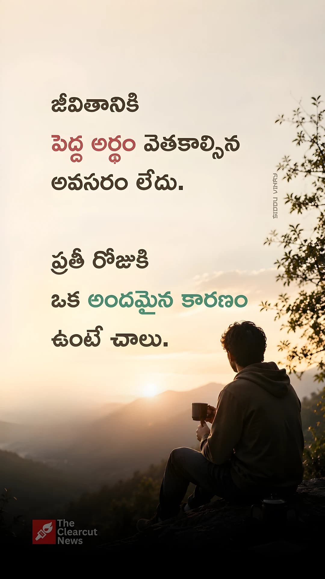 అందమైన కారణం