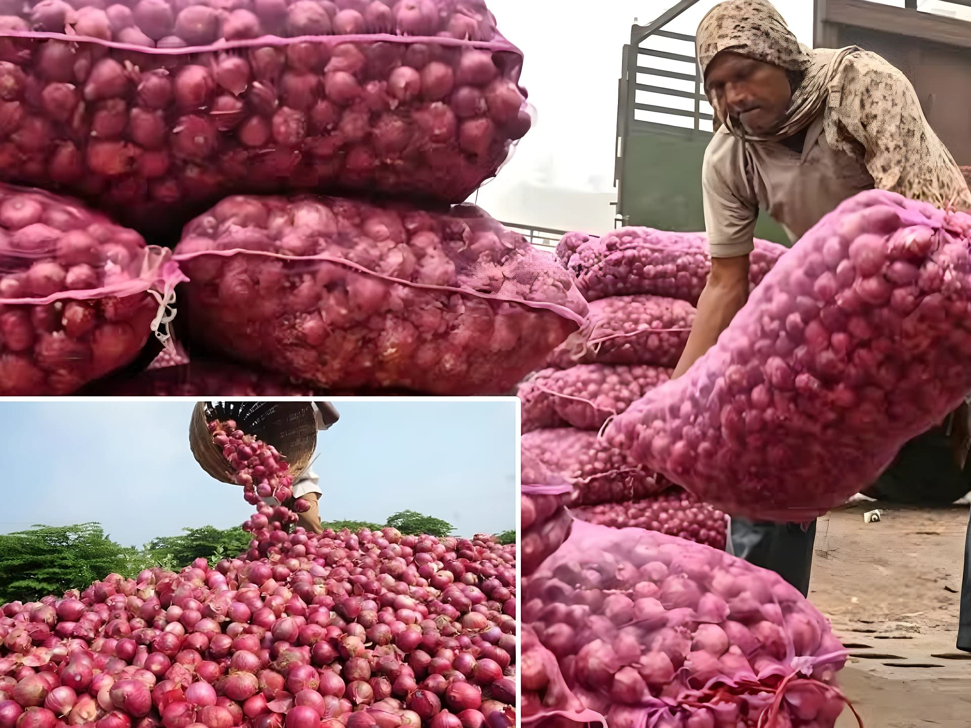 ఉల్లి ధరలకు ఎల్నినో ఎఫెక్ట్.. సామాన్యుడికి షాక్