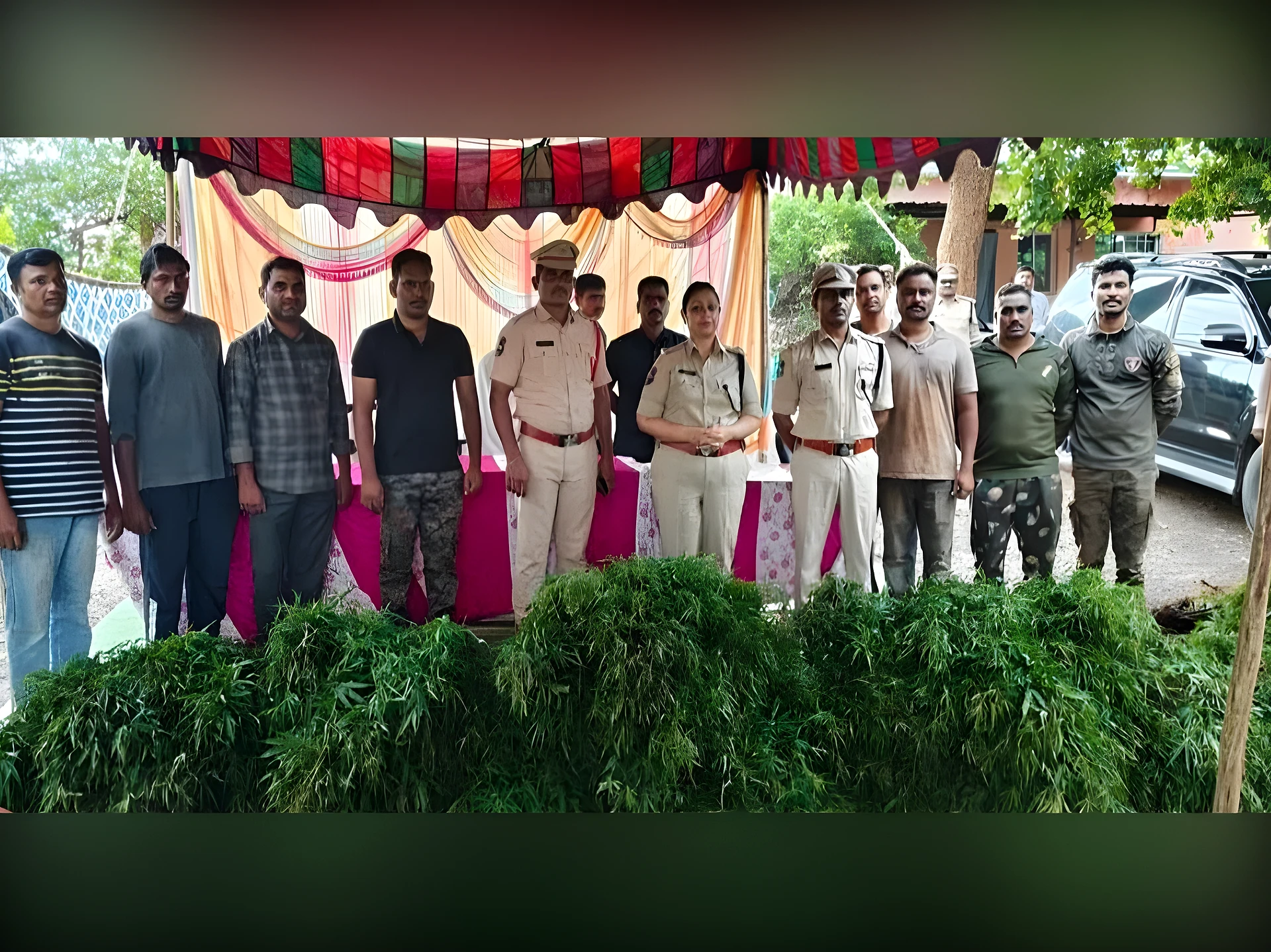 గంజాయి సాగు.. తండ్రీకొడుకులు అరెస్ట్