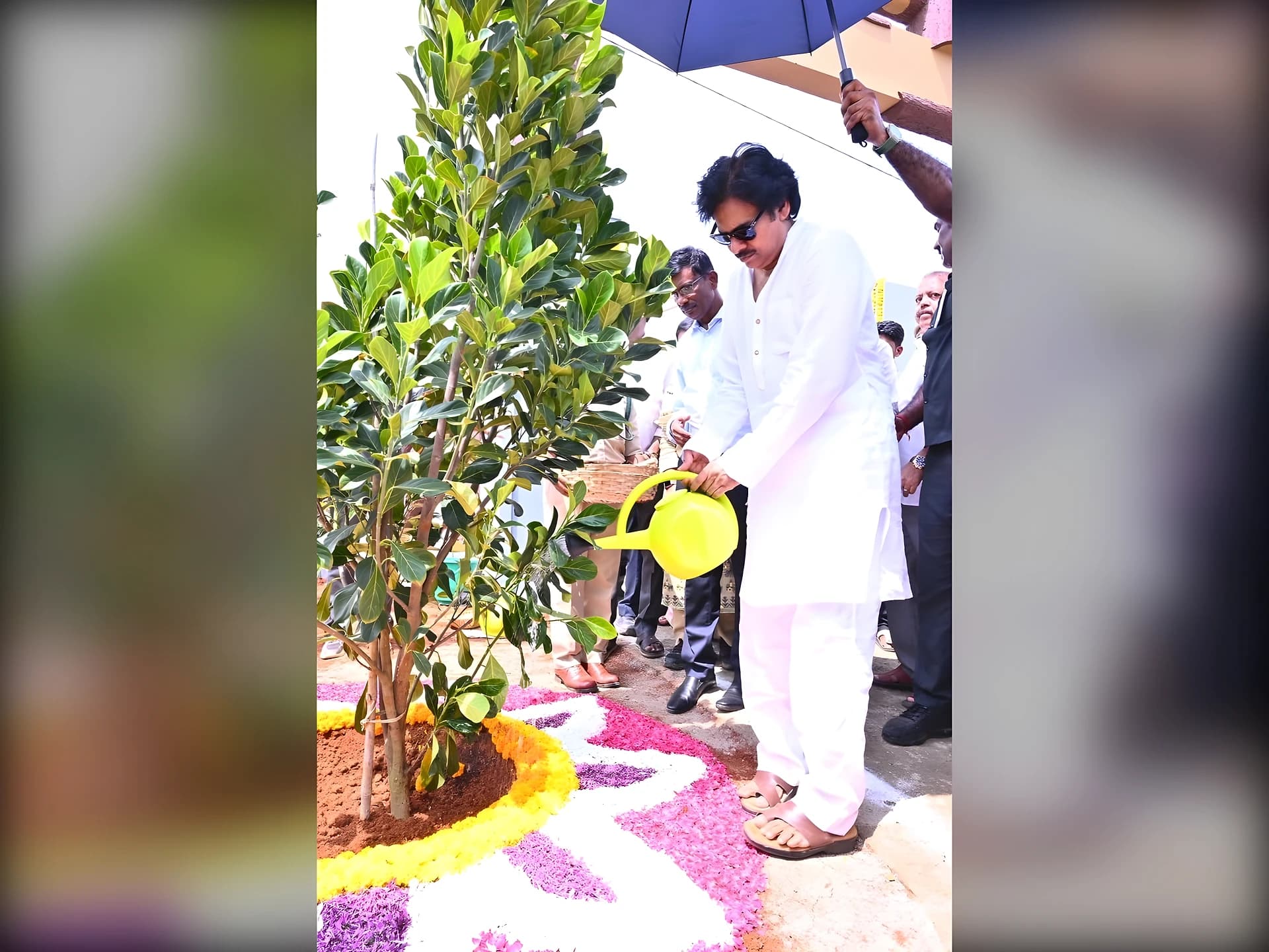 'పీఠికాపుర వనం'.. ప్రారంభించిన DCM పవన్ కళ్యాణ్