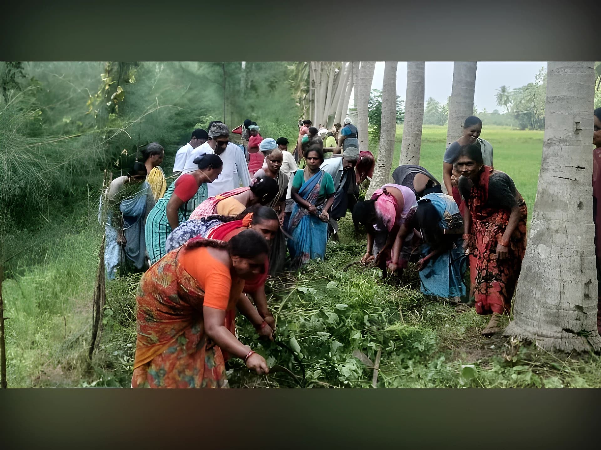 ఊరి రైతుల కోసం ఊపందుకున్న శ్రమదానం