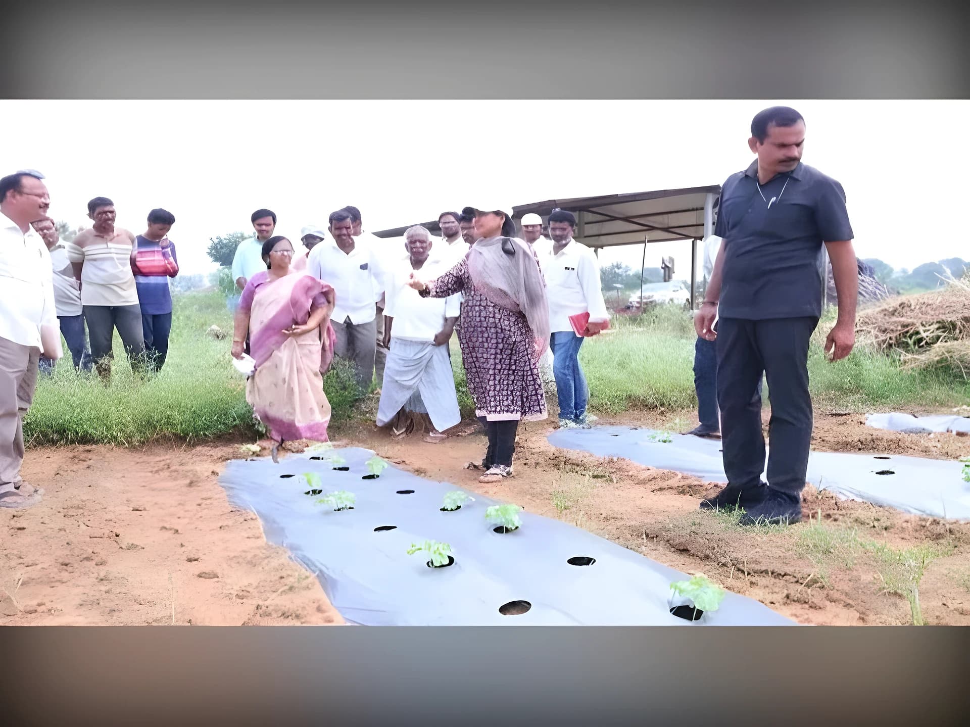 కూరగాయలు పండిస్తే ఇంత లాభమా ?