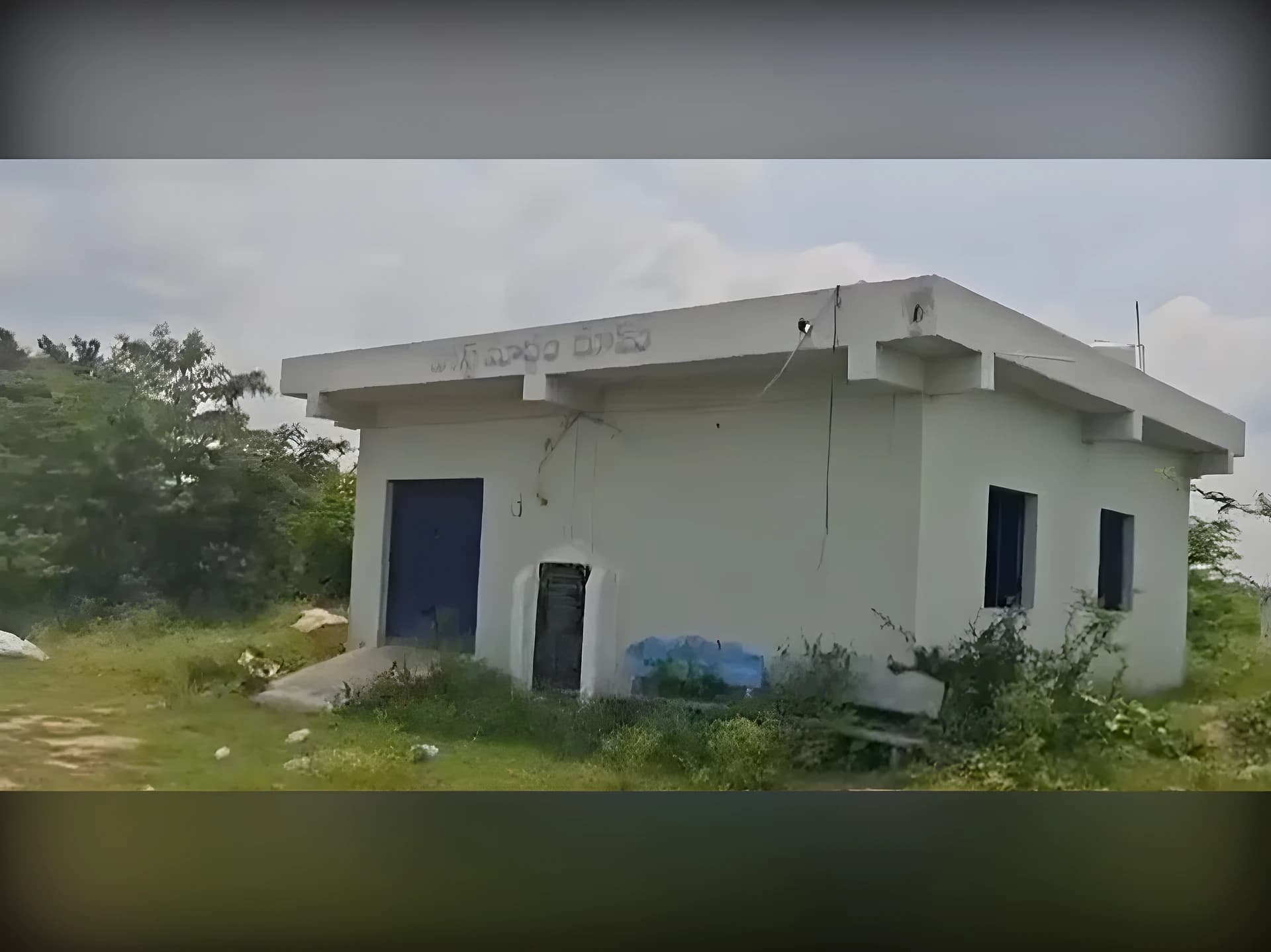 శవాన్ని కొరికేసిన ఎలుకలు