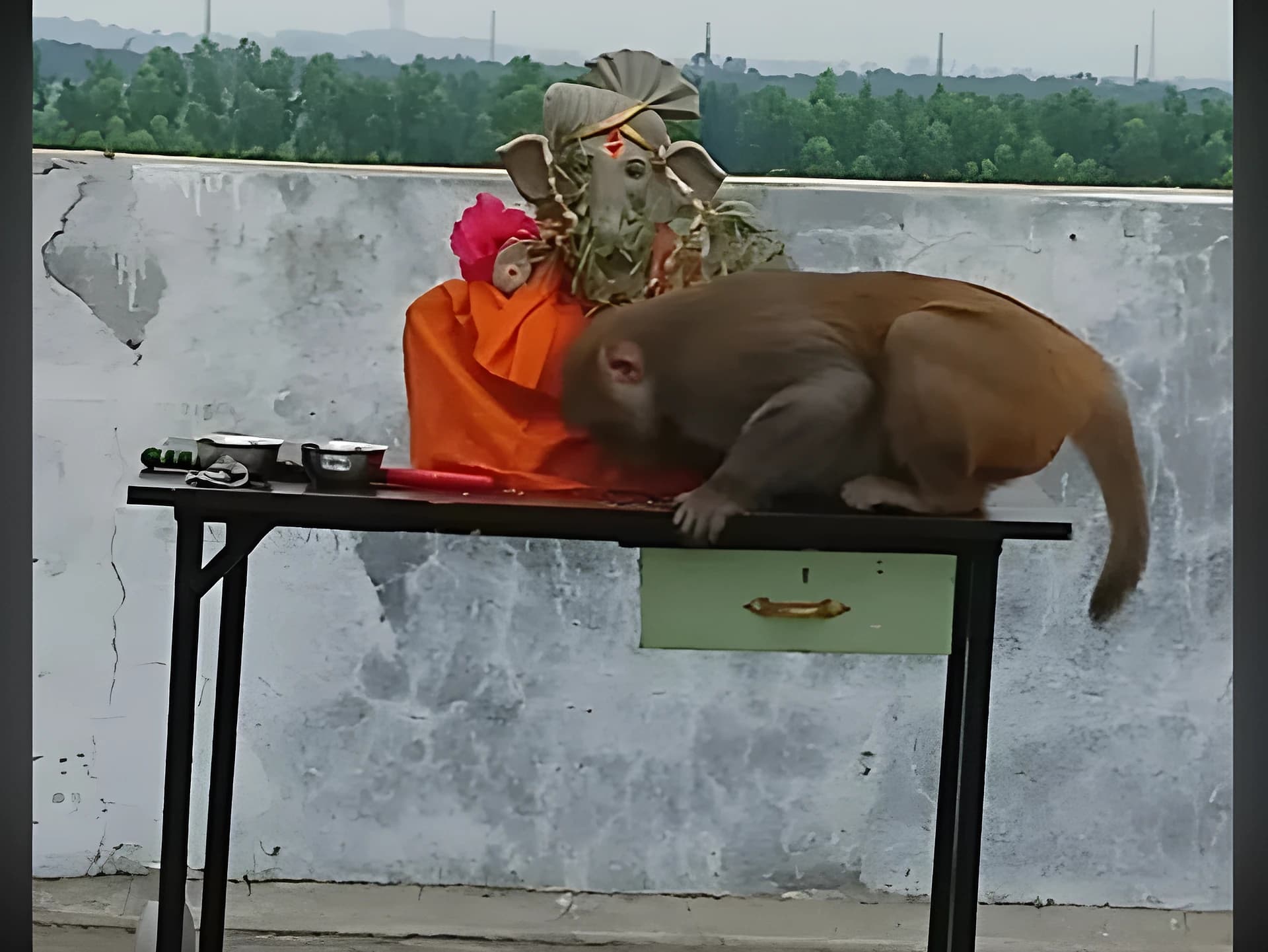 వినాయకుడికి దండం పెట్టిన కోతి