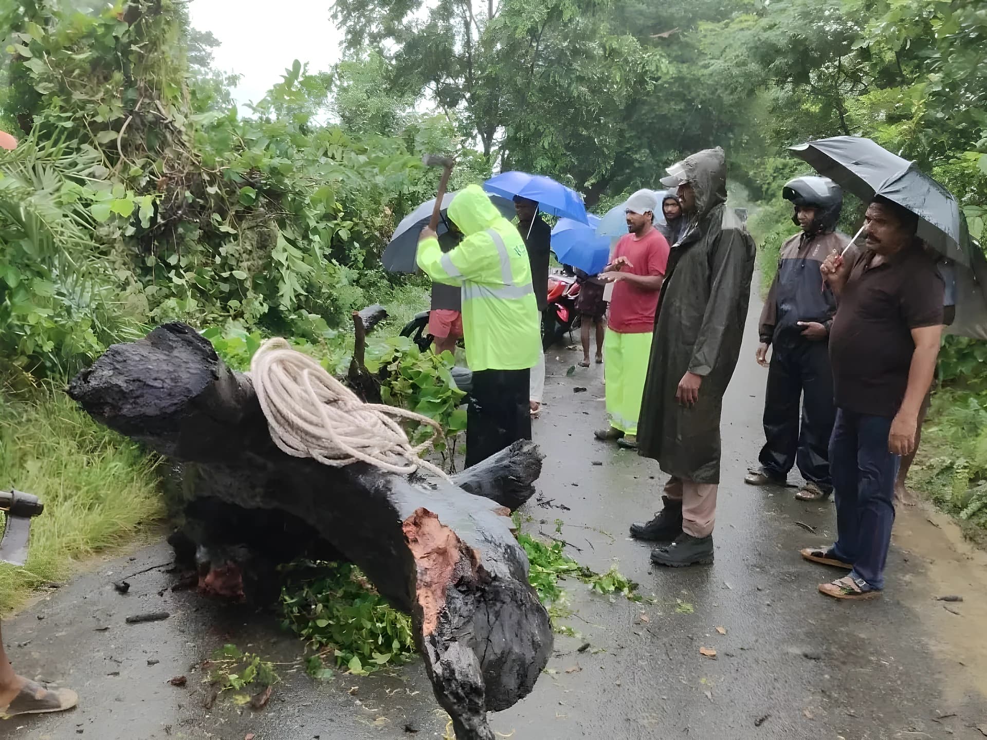 చెట్టు కూలడంతో నిలిచిన రాకపోకలు