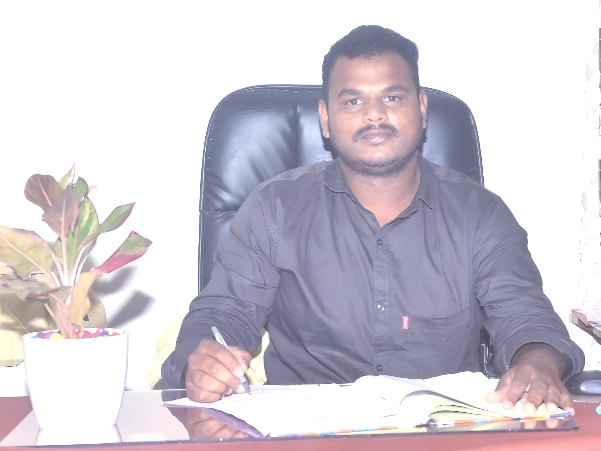రెడ్క్రాస్ కమిటీ ఎన్నికలకు రంగం సిద్ధం