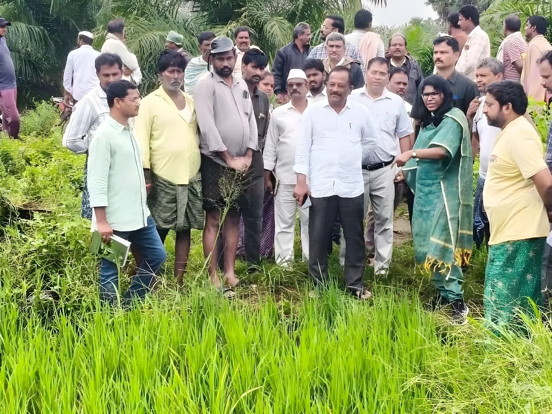 ప్రకృతి వ్యవసాయమే భవిష్యత్తుకు భరోసా: కలెక్టర్