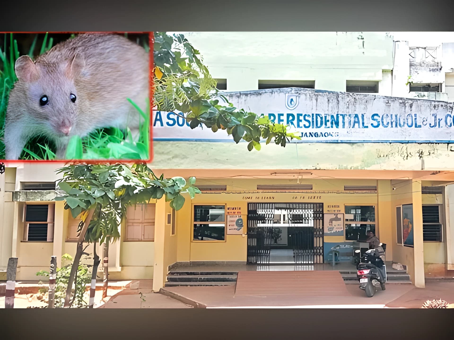 పాలకుర్తి గురుకులంలో ఎలుకల భయం