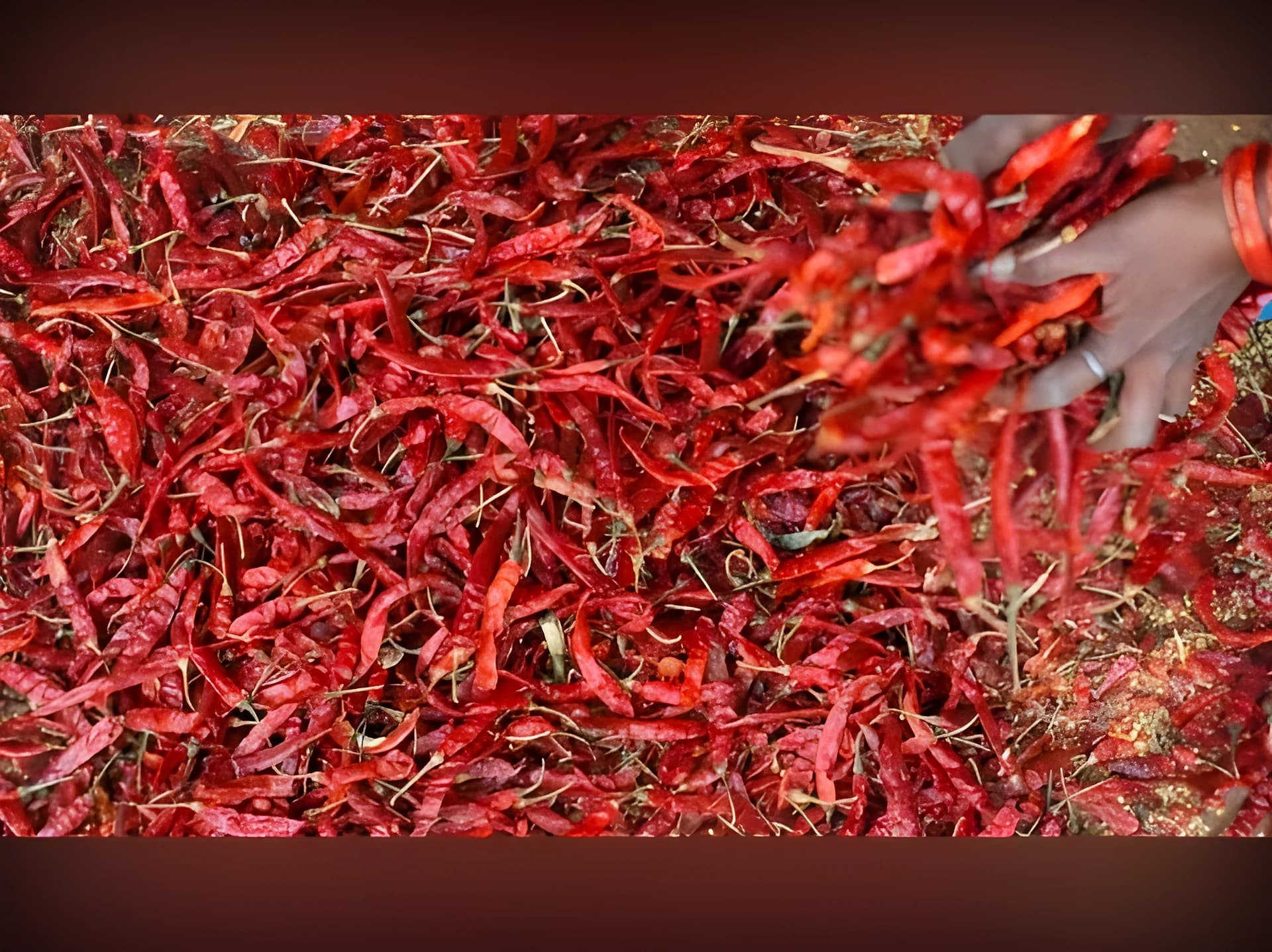 వాజేడులో మిర్చి రైతుల ఆందోళన