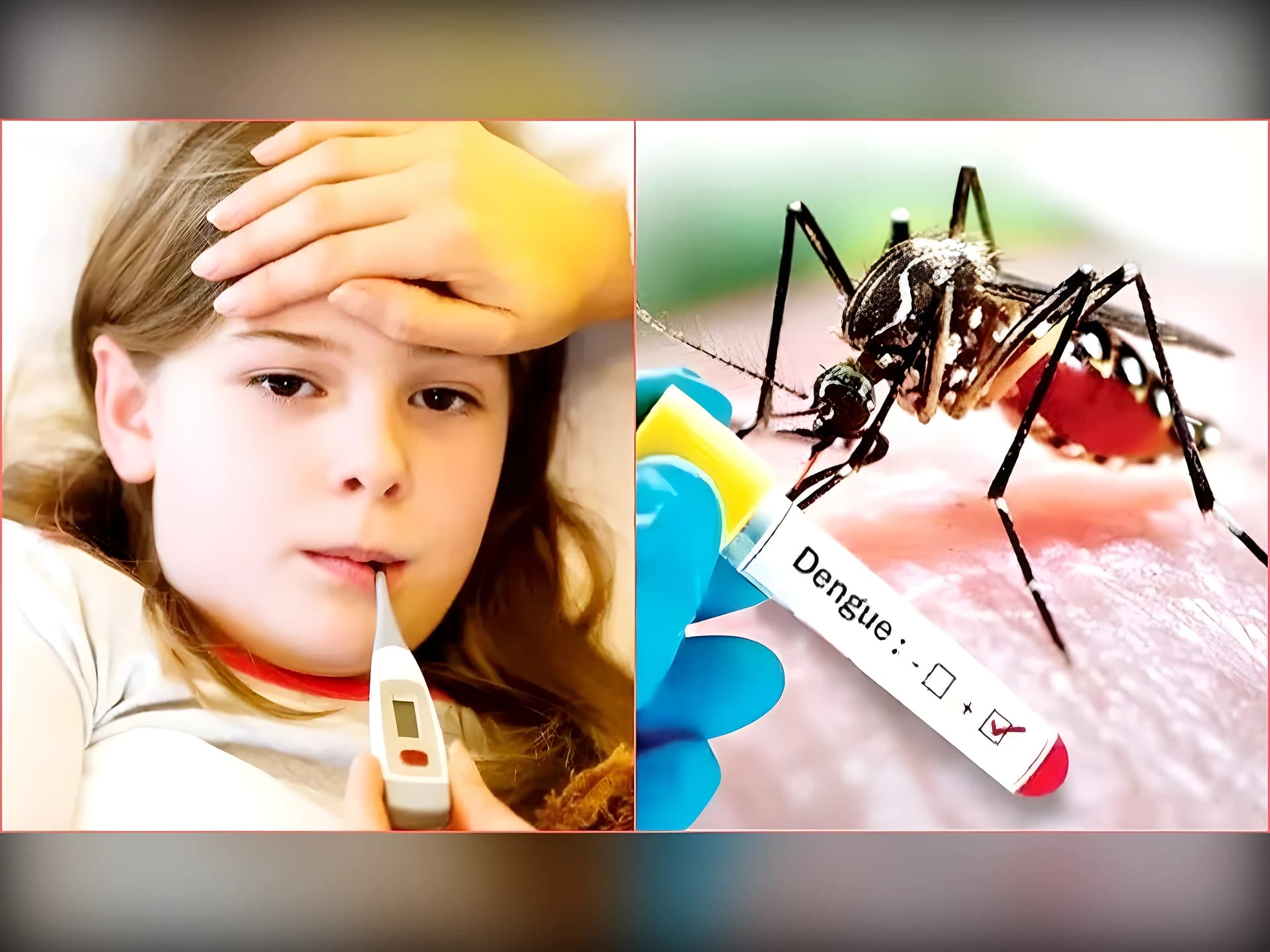 వైరల్ ఫీవర్తో పాటు డెంగీ, మలేరియా టెన్షన్!