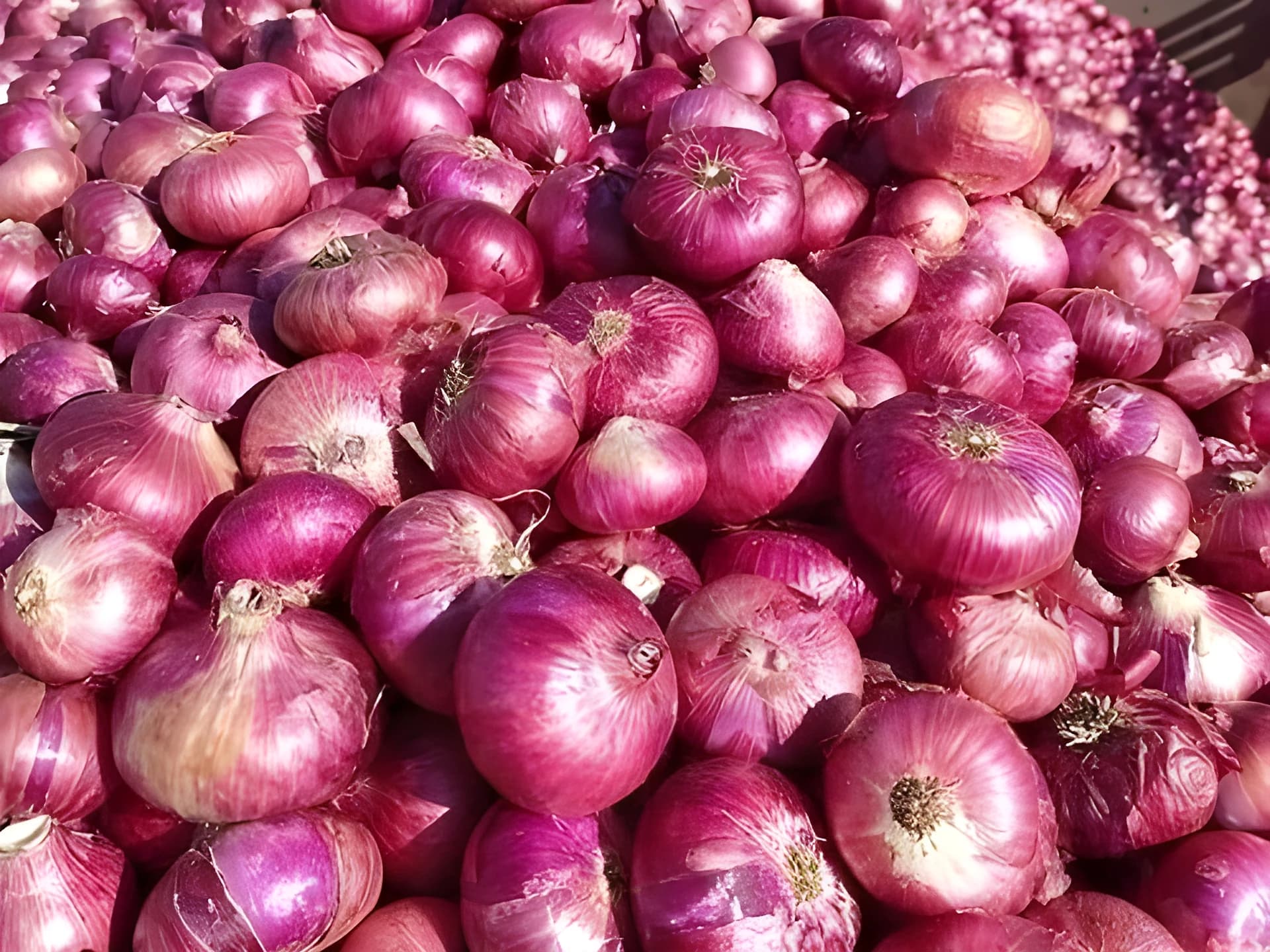 35కే Kg ఉల్లి.. నేటి నుంచి సేల్స్!
