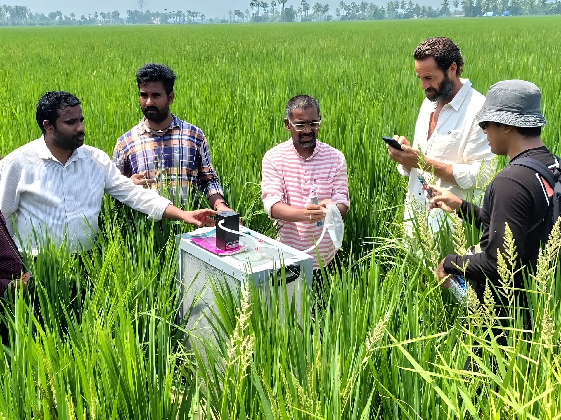 ప్రకృతి వ్యవసాయ మోడల్స్పై ఇంటర్నేషనల్ టీమ్ స్టడీ