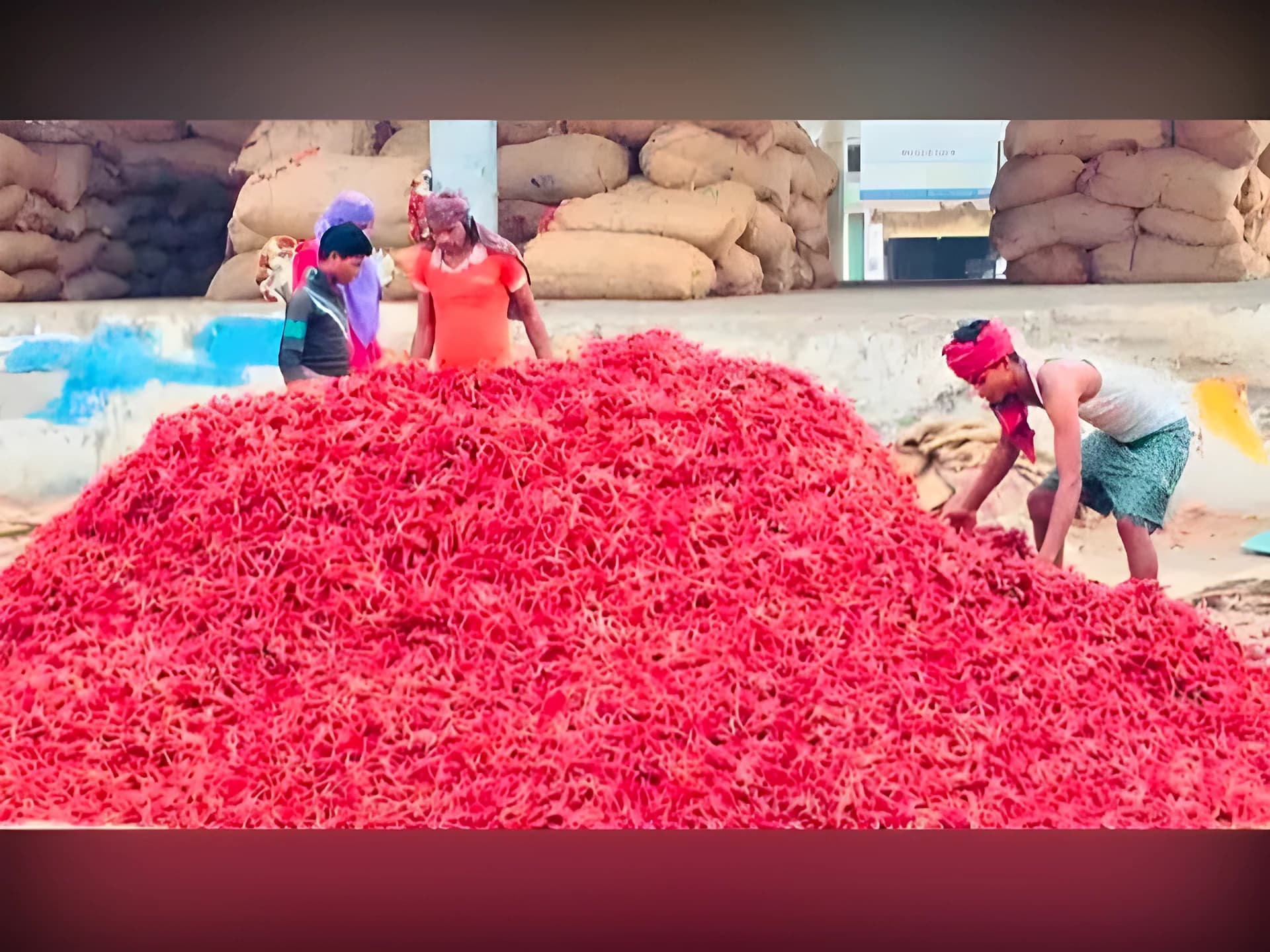తగ్గిన పత్తి మిర్చి ధరలు