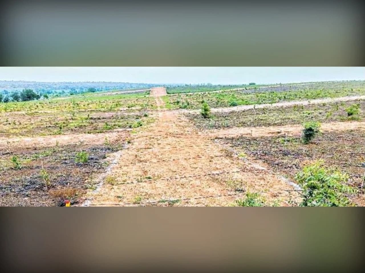 ఫామ్ల్యాండ్ వెంచర్లతో కొత్త దందా!