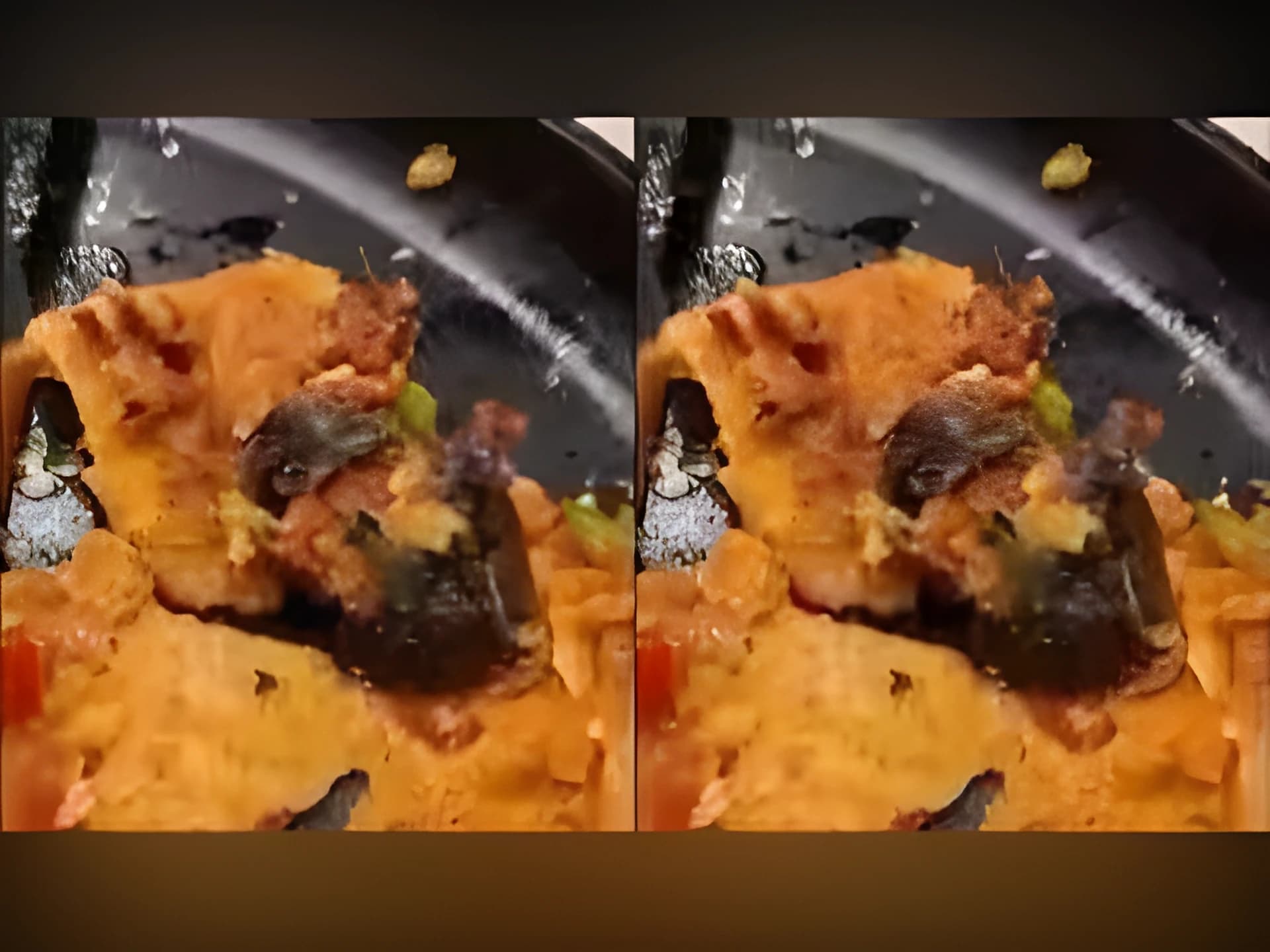 దోసెలో ఎలుక.. 25 లక్షలు డిమాండ్