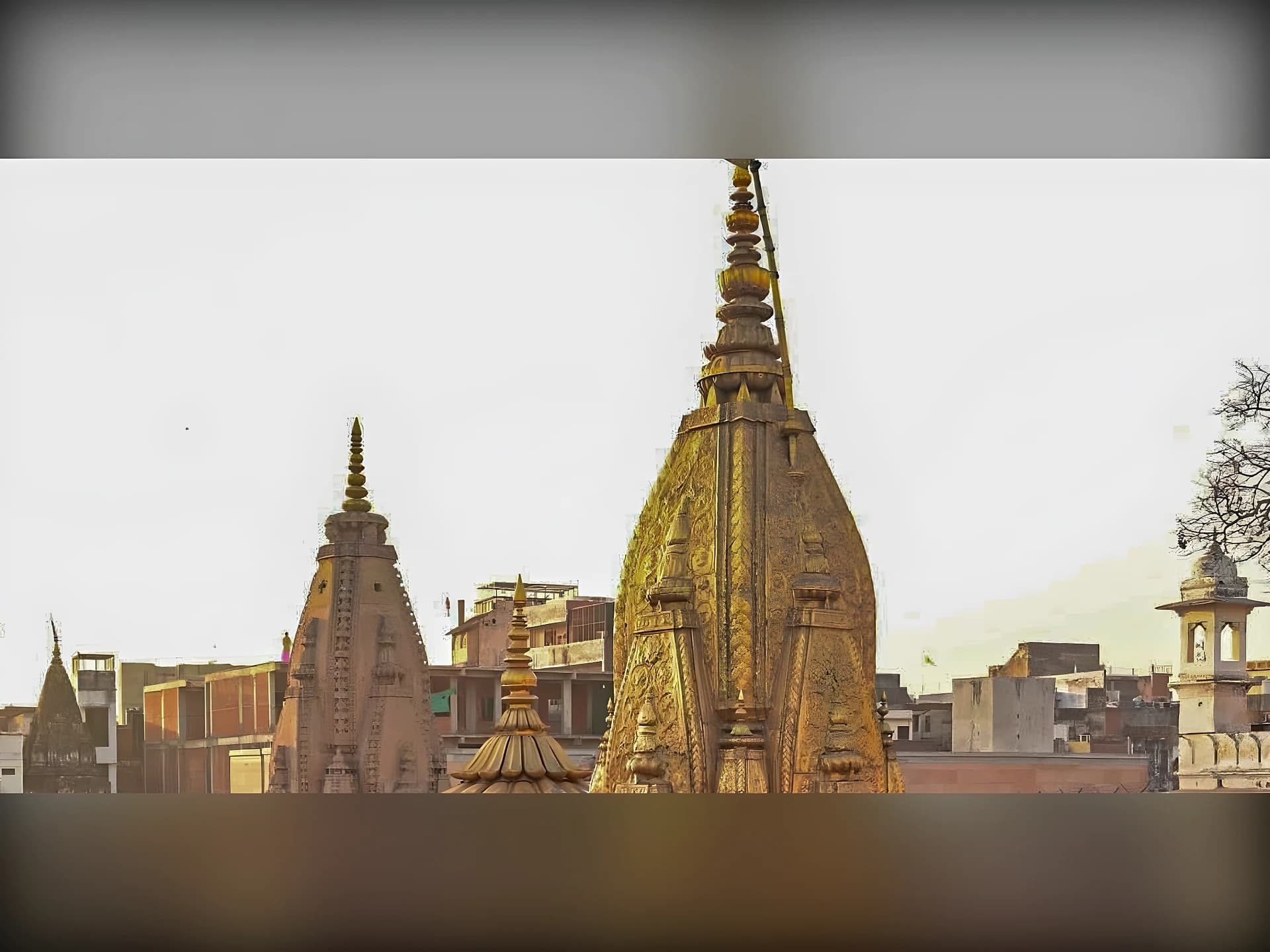 కాశీ ఆలయంలో బంగారం మాయం.. కోతుల పనా?
