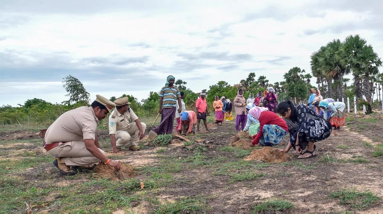 55 లక్షల తాటి చెట్లు నాటడమే టార్గెట్