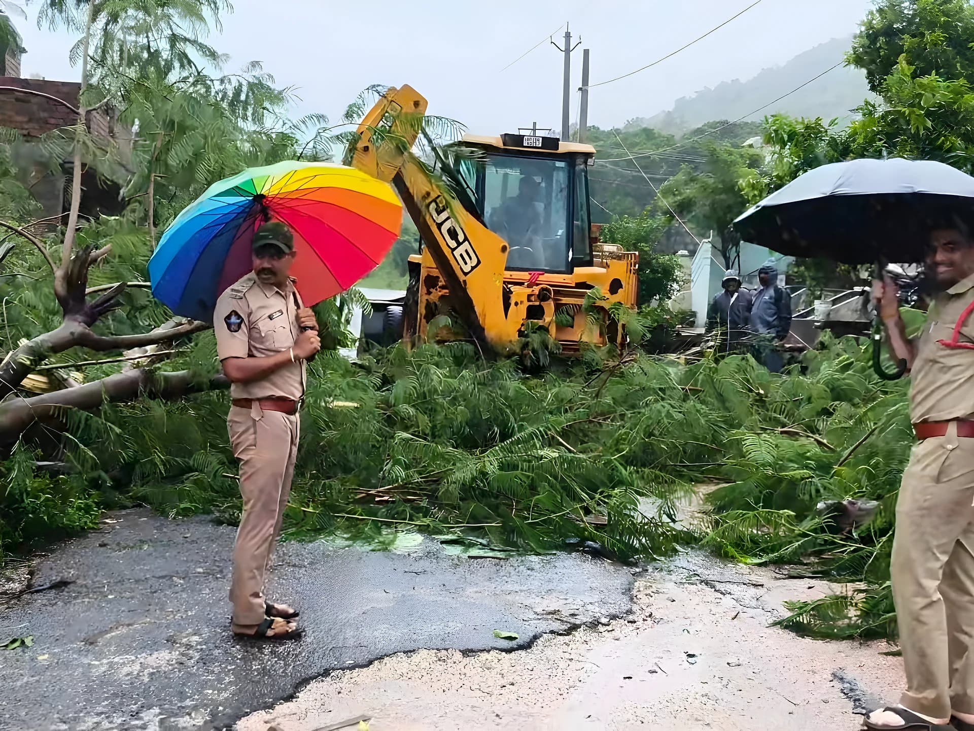రోడ్డుపై కూలిన భారీ వృక్షం