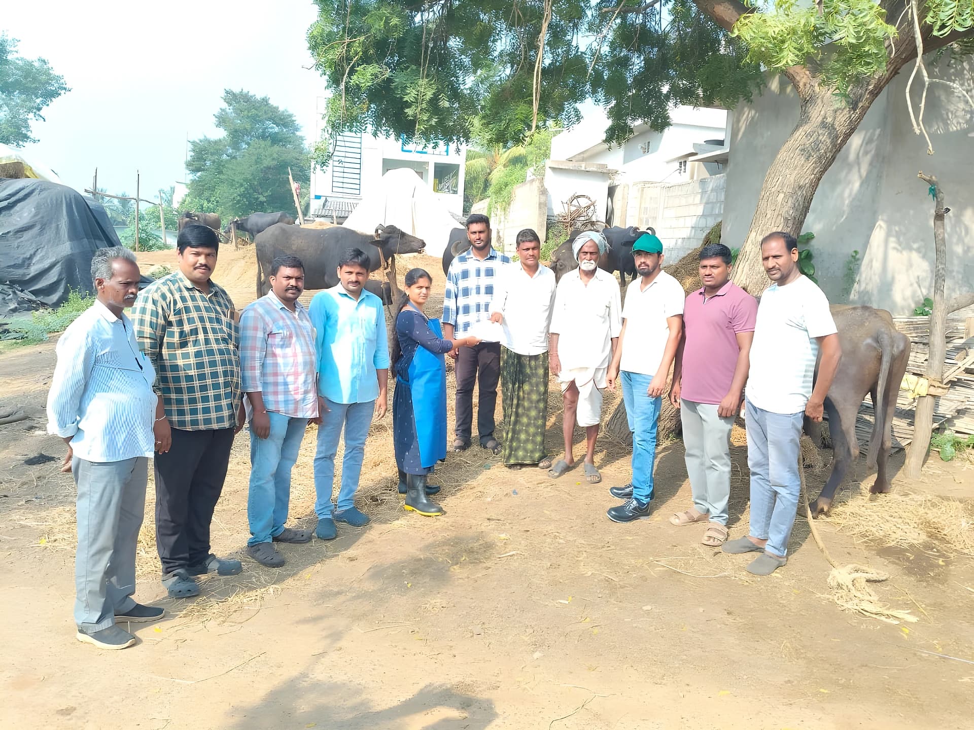 మొద్దులుగూడెంలో పశువైద్య శిబిరం