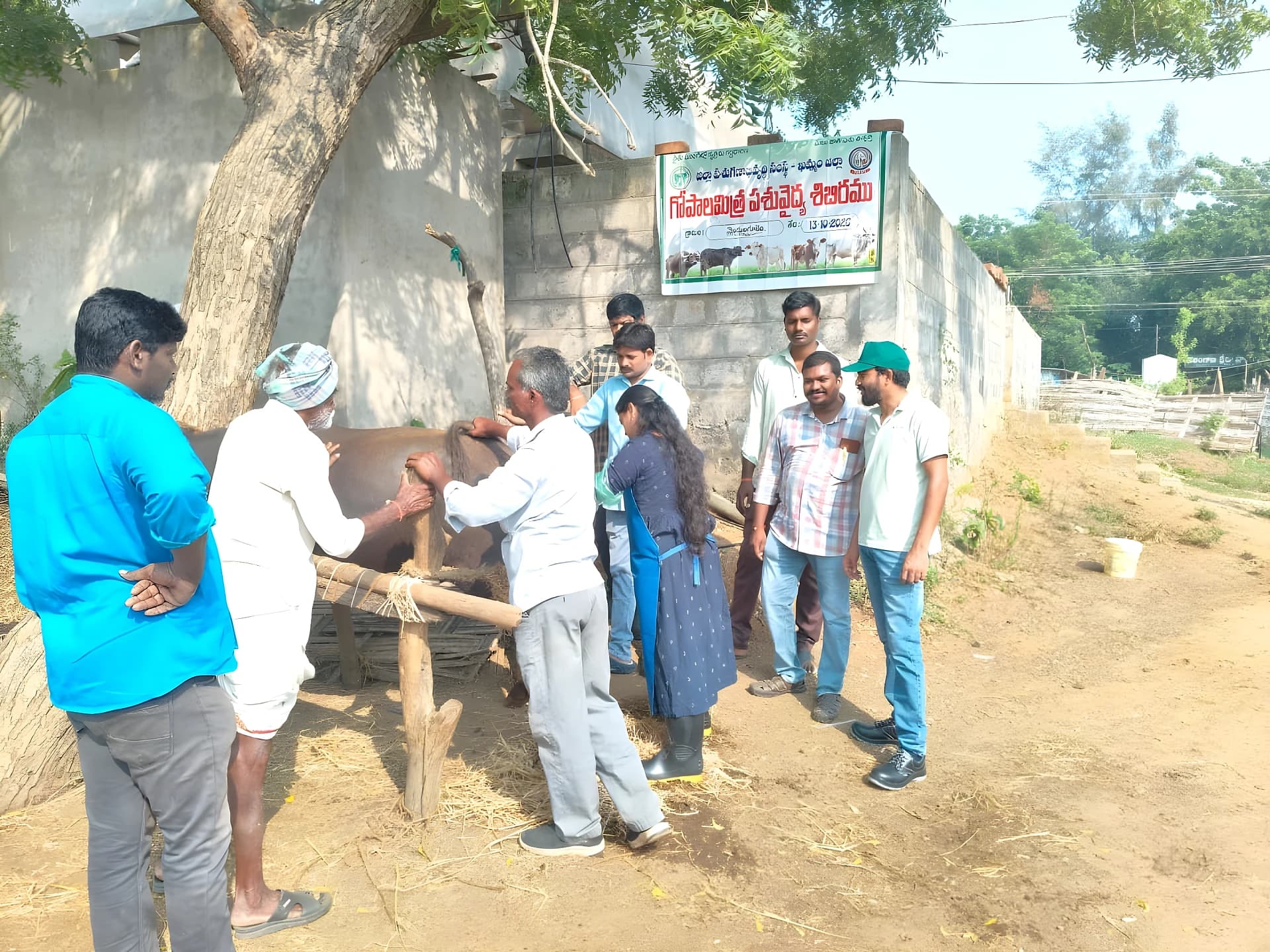 మొద్దులుగూడెంలో పశువైద్య శిబిరం