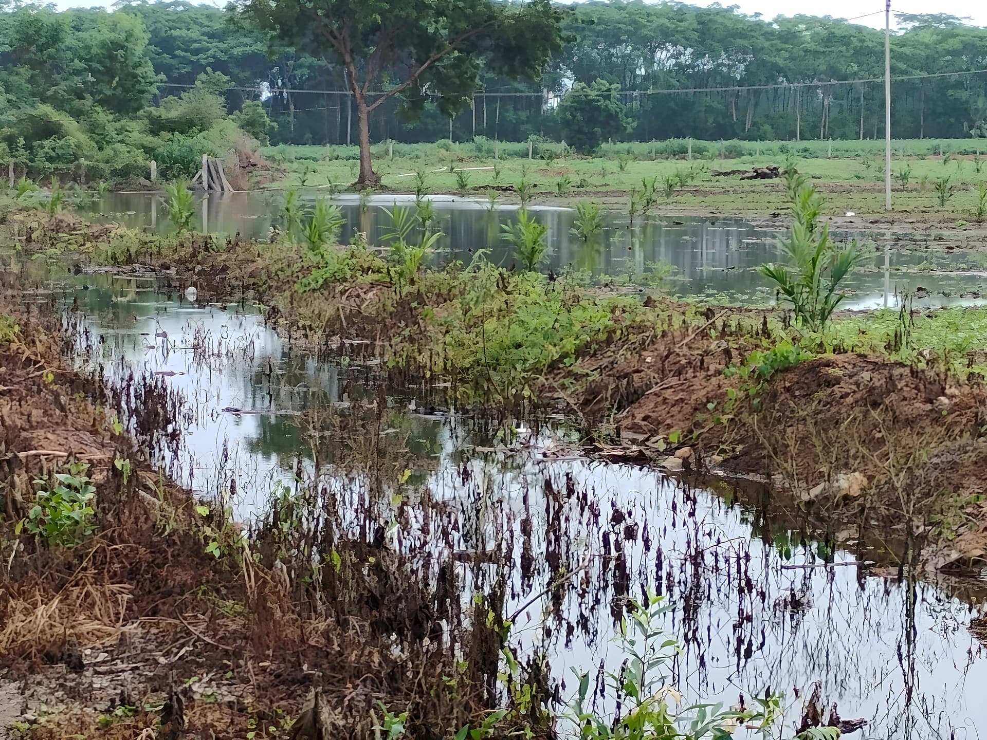ఆఫీసర్ల నిర్లక్ష్యం.. రైతు పంట నష్టం