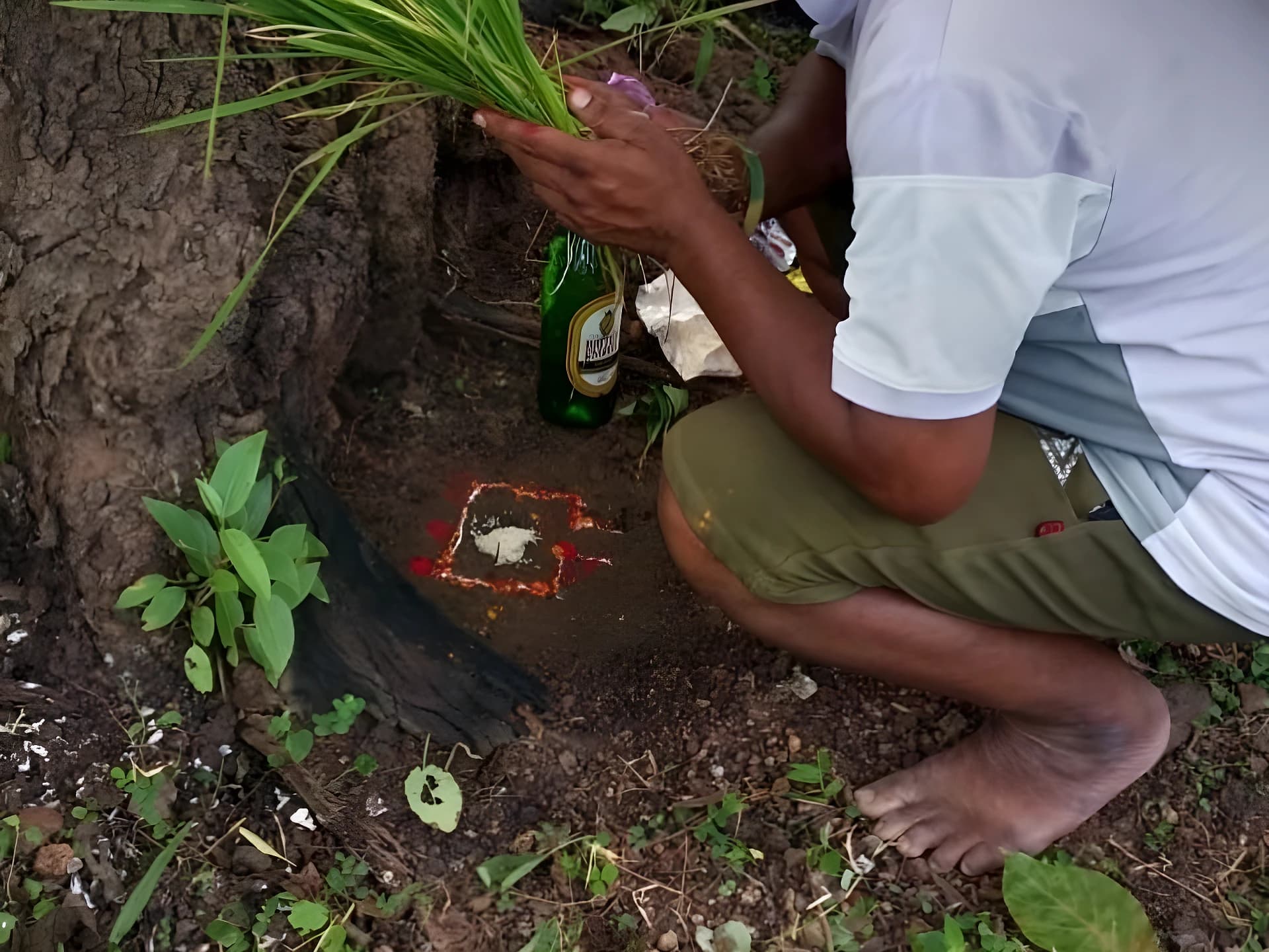 నరసింహపురంలో 'పచ్చ పండగ'