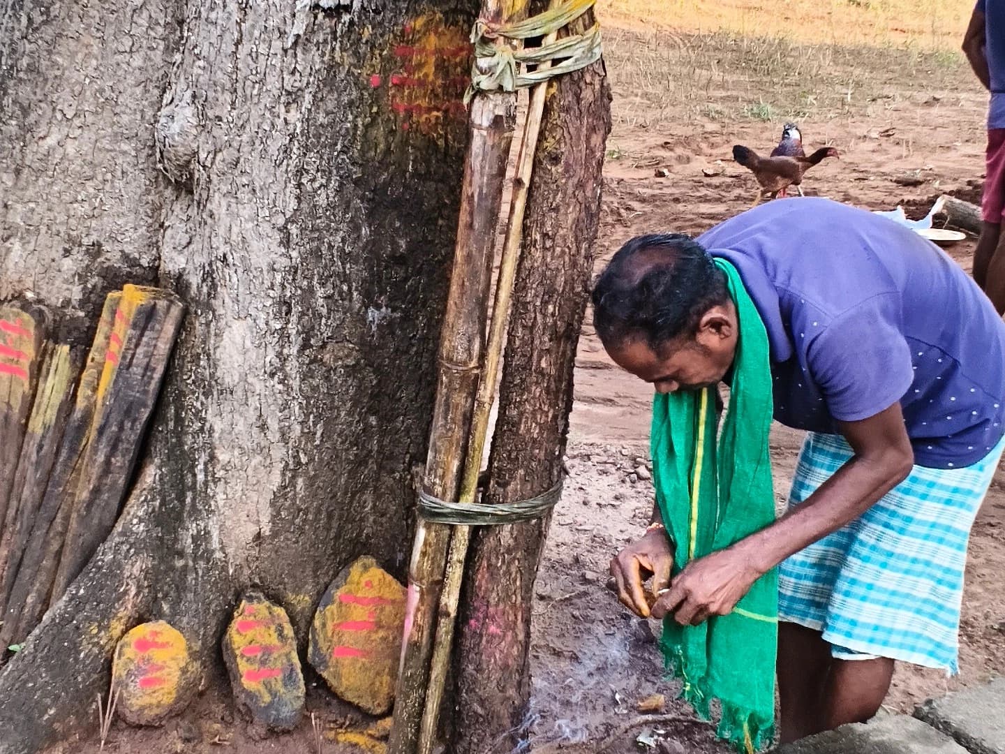 ఆదివాసి పెళ్లి వేడుకలు