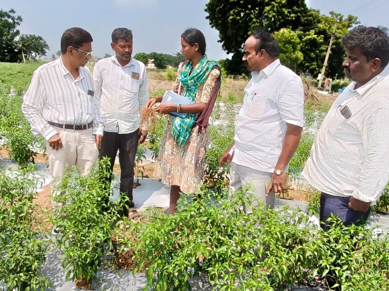ఎల్నినో ఎఫెక్ట్.. నీటి పొదుపుపై రైతులకు అవగాహన