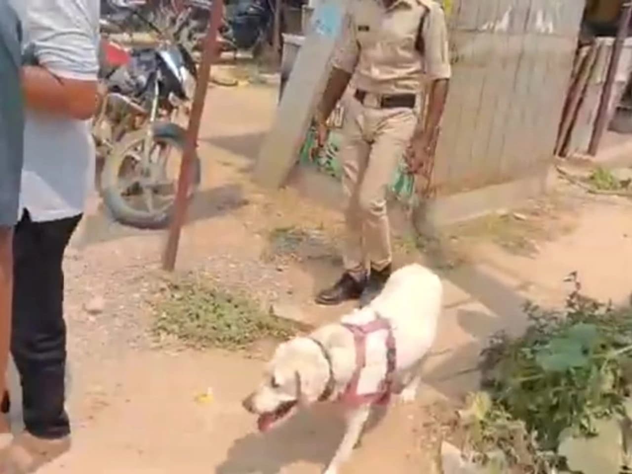 డ్రగ్స్పై పోలీసుల ప్రత్యేక తనిఖీలు!