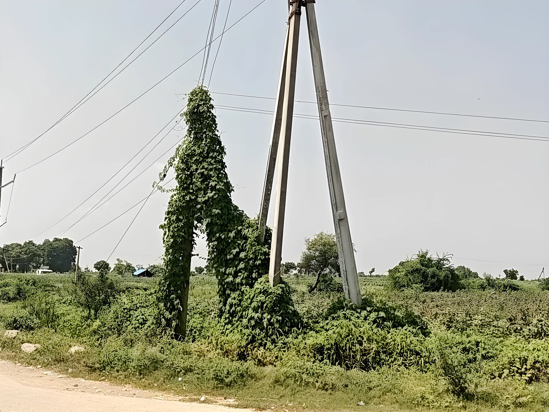 ప్రమాదం జరగకముందే స్పందించాలి