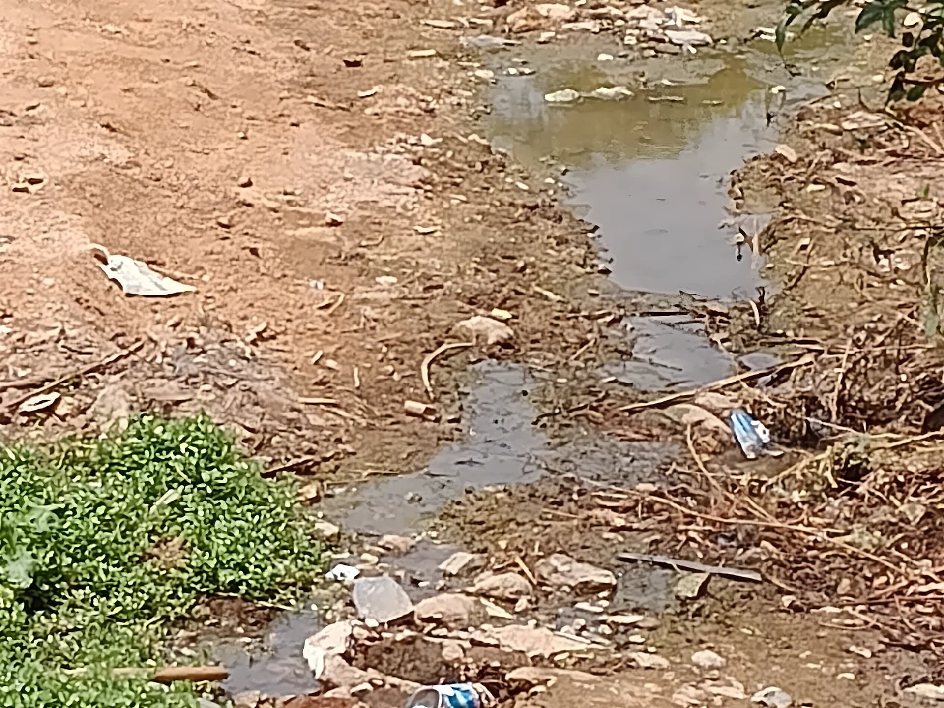 3 ఏళ్లుగా పట్టించుకోని అధికారులు