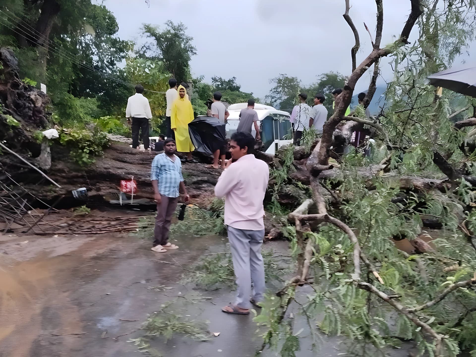 భారీ వృక్షం నేలకొరిగి.. ప్రమాదం తప్పింది!