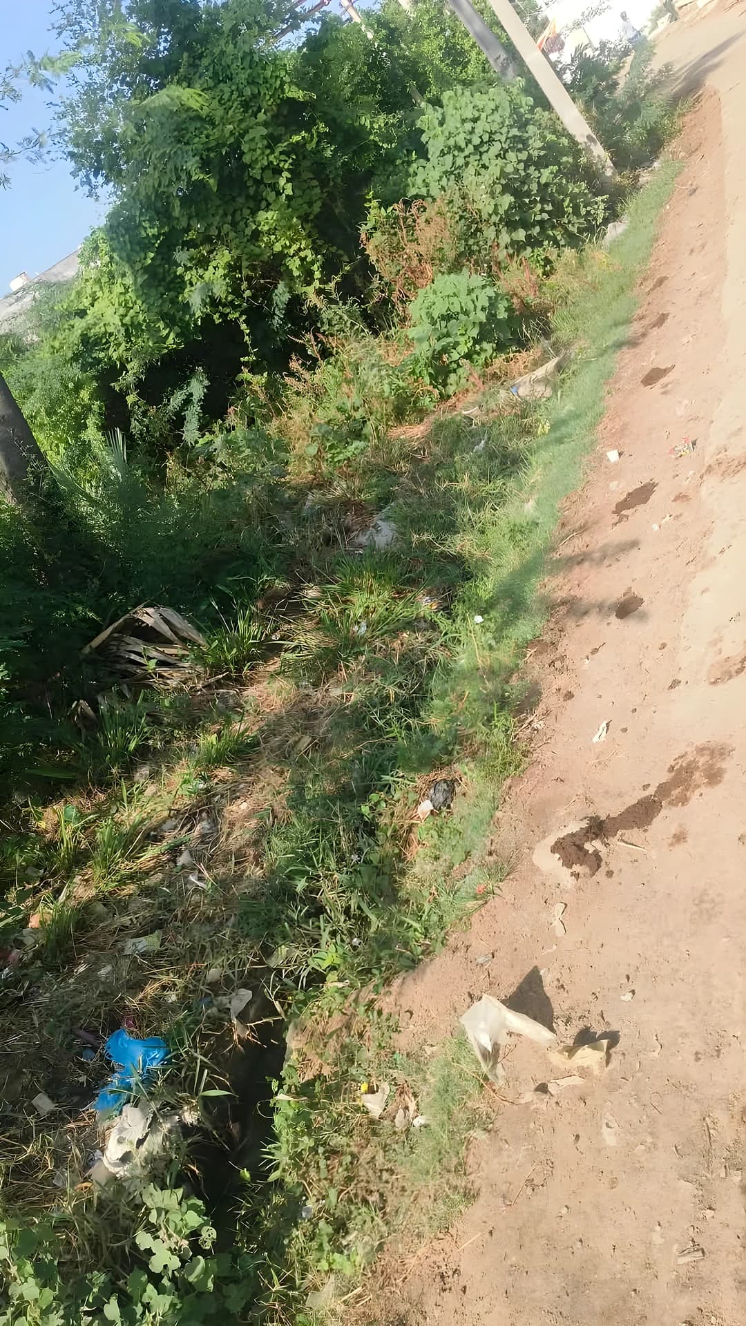 పారిశుద్ధ్య సమస్యలపై అధికారుల దృష్టి సారించాలి