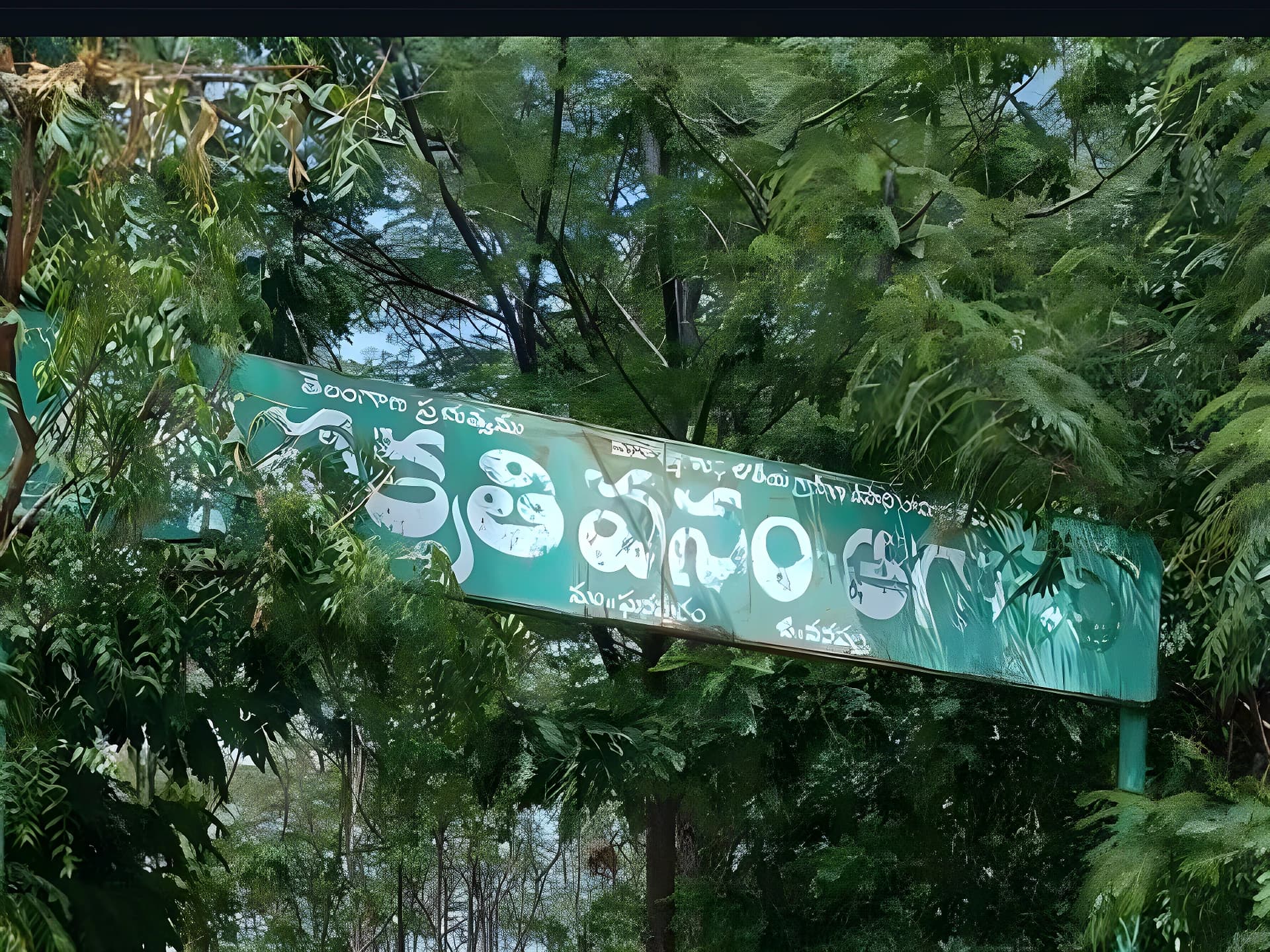 పల్లె ప్రకృతి వనం పాడు.. గేట్లు ధ్వంసం!