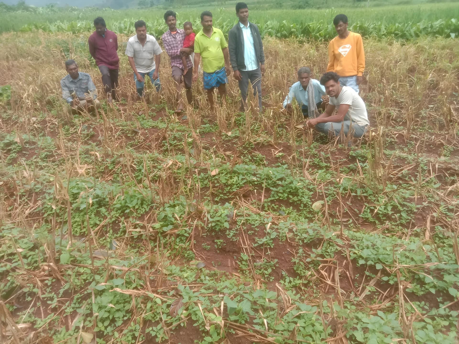పంటలు దెబ్బతినడంపై CPM ఆందోళన