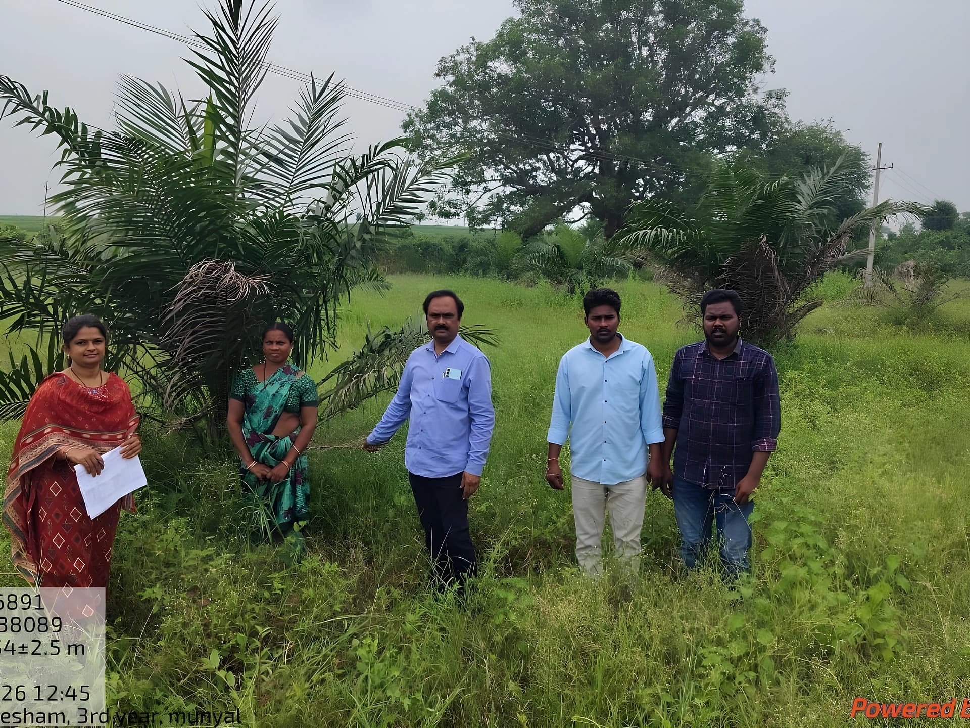 మూడేళ్లు కాపాడితే.. ఆ తరువాత మంచి దిగుబడి!